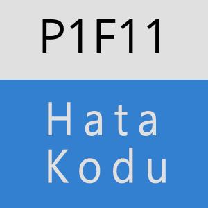 P1F11 hatasi