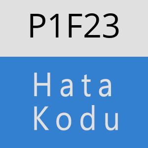 P1F23 hatasi