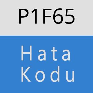 P1F65 hatasi