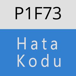 P1F73 hatasi