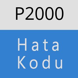 P2000 hatasi