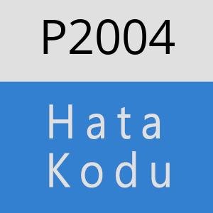 P2004 hatasi