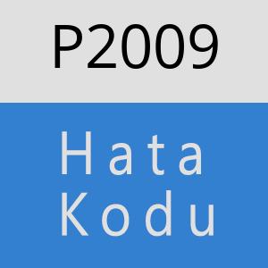 P2009 hatasi