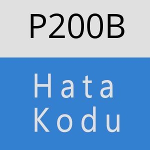 P200B hatasi