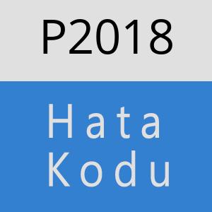 P2018 hatasi