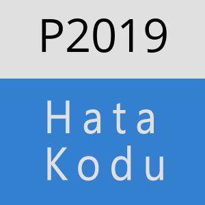 P2019 hatasi