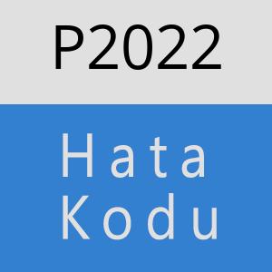 P2022 hatasi