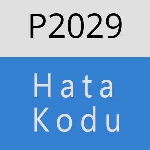 P2029 hatasi