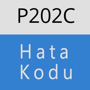 P202C hatasi