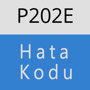 P202E hatasi