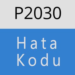 P2030 hatasi