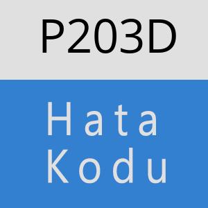 P203D hatasi