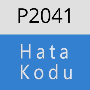 P2041 hatasi