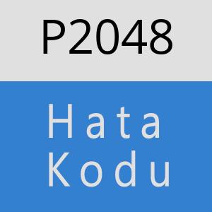 P2048 hatasi