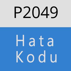 P2049 hatasi