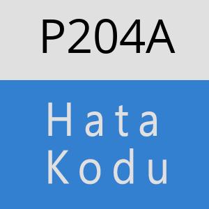 P204A hatasi