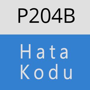 P204B hatasi