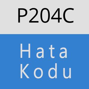 P204C hatasi