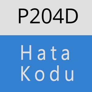 P204D hatasi