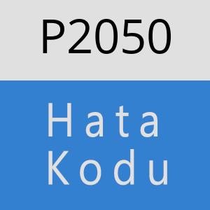P2050 hatasi