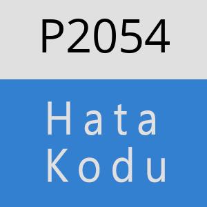 P2054 hatasi