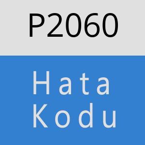 P2060 hatasi