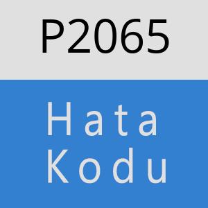 P2065 hatasi