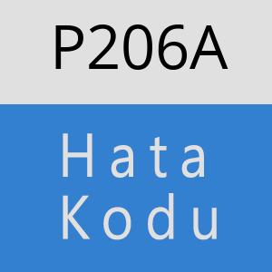 P206A hatasi