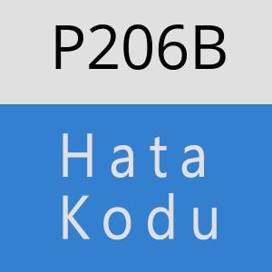 P206B hatasi