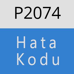 P2074 hatasi