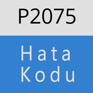 P2075 hatasi