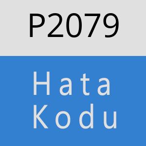 P2079 hatasi