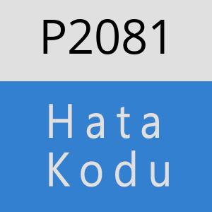 P2081 hatasi