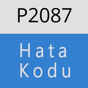 P2087 hatasi