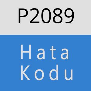 P2089 hatasi