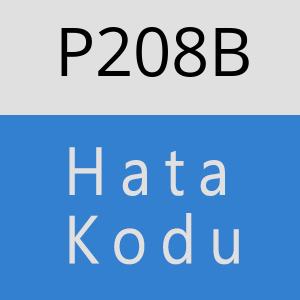 P208B hatasi