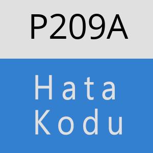 P209A hatasi