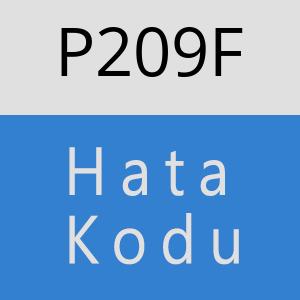 P209F hatasi