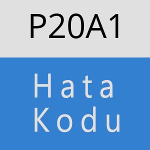 P20A1 hatasi