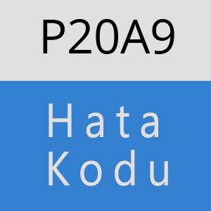 P20A9 hatasi