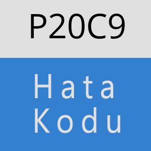 P20C9 hatasi