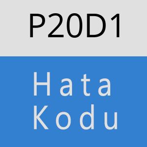 P20D1 hatasi