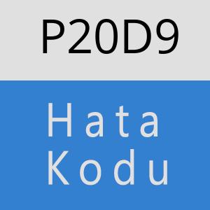 P20D9 hatasi