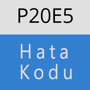 P20E5 hatasi