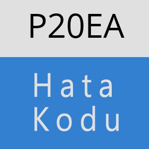 P20EA hatasi