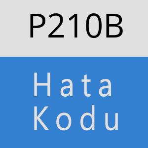 P210B hatasi