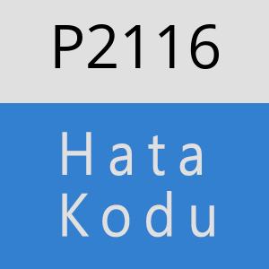 P2116 hatasi