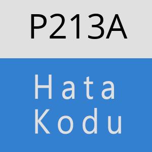 P213A hatasi