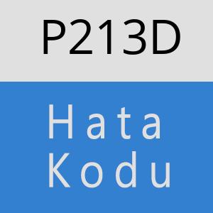 P213D hatasi