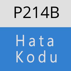 P214B hatasi